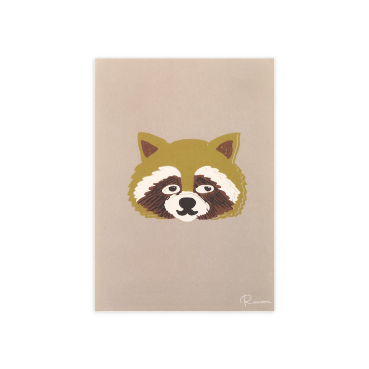 Raccoon Postcard