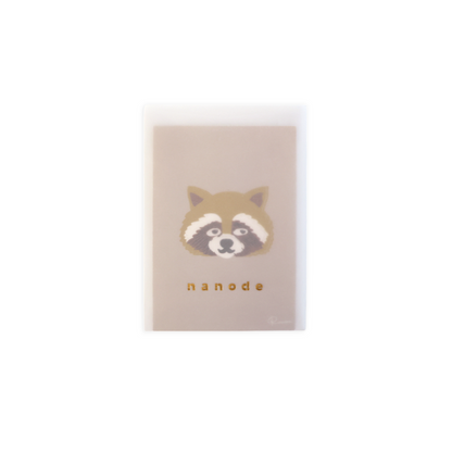 Raccoon Postcard