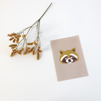 Raccoon Postcard